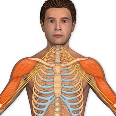 Stock Art