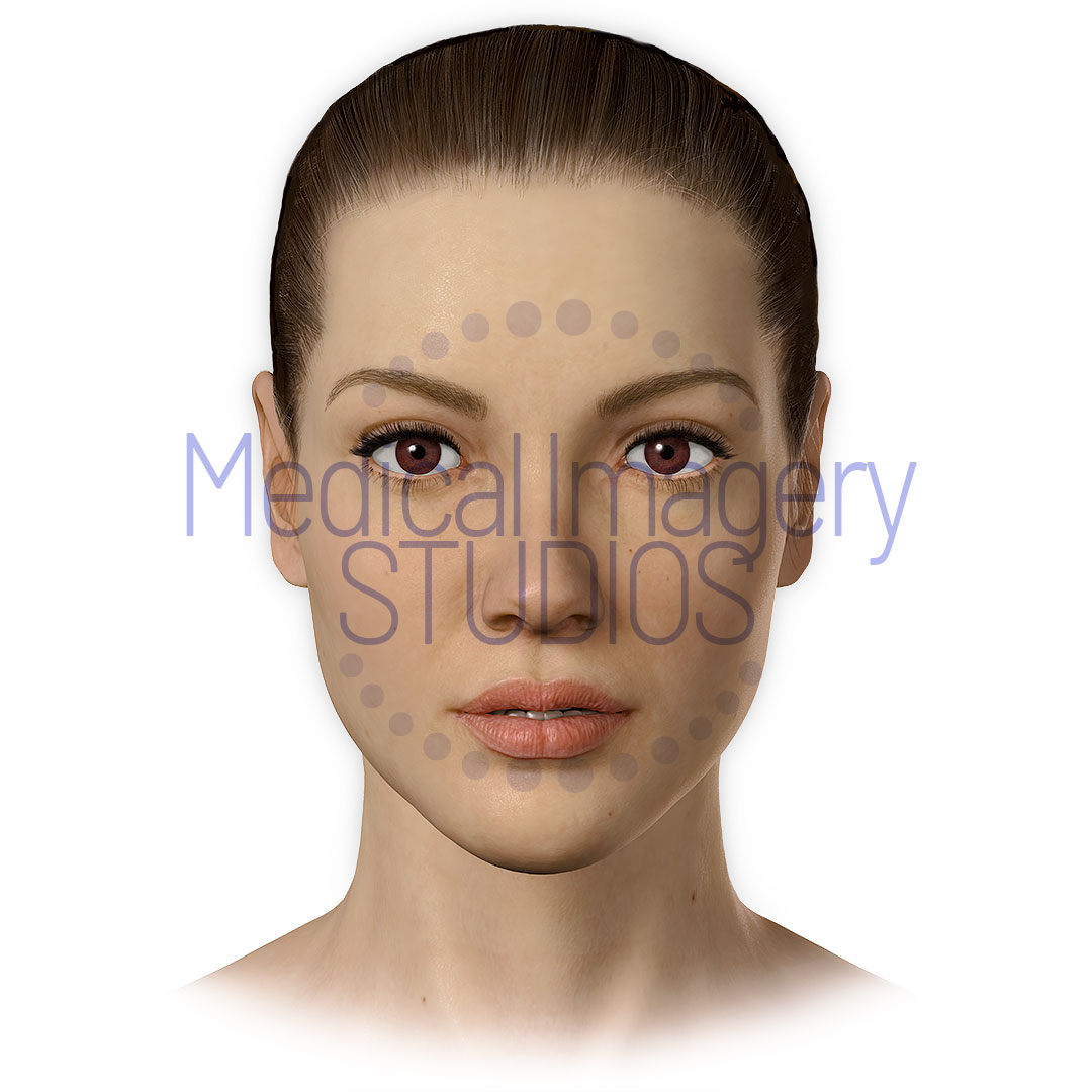 Woman' Face