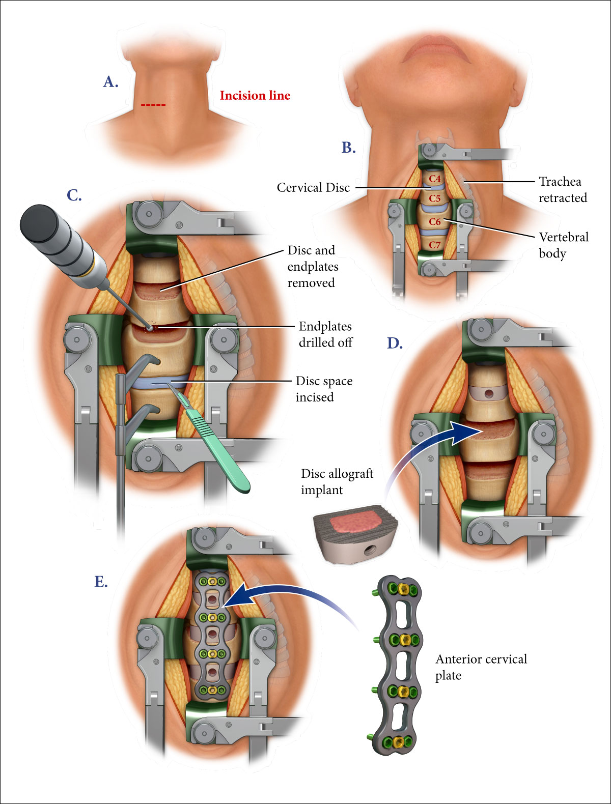 Medical-Legal