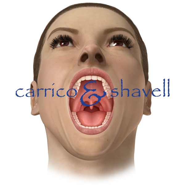 Frontal Sinuses