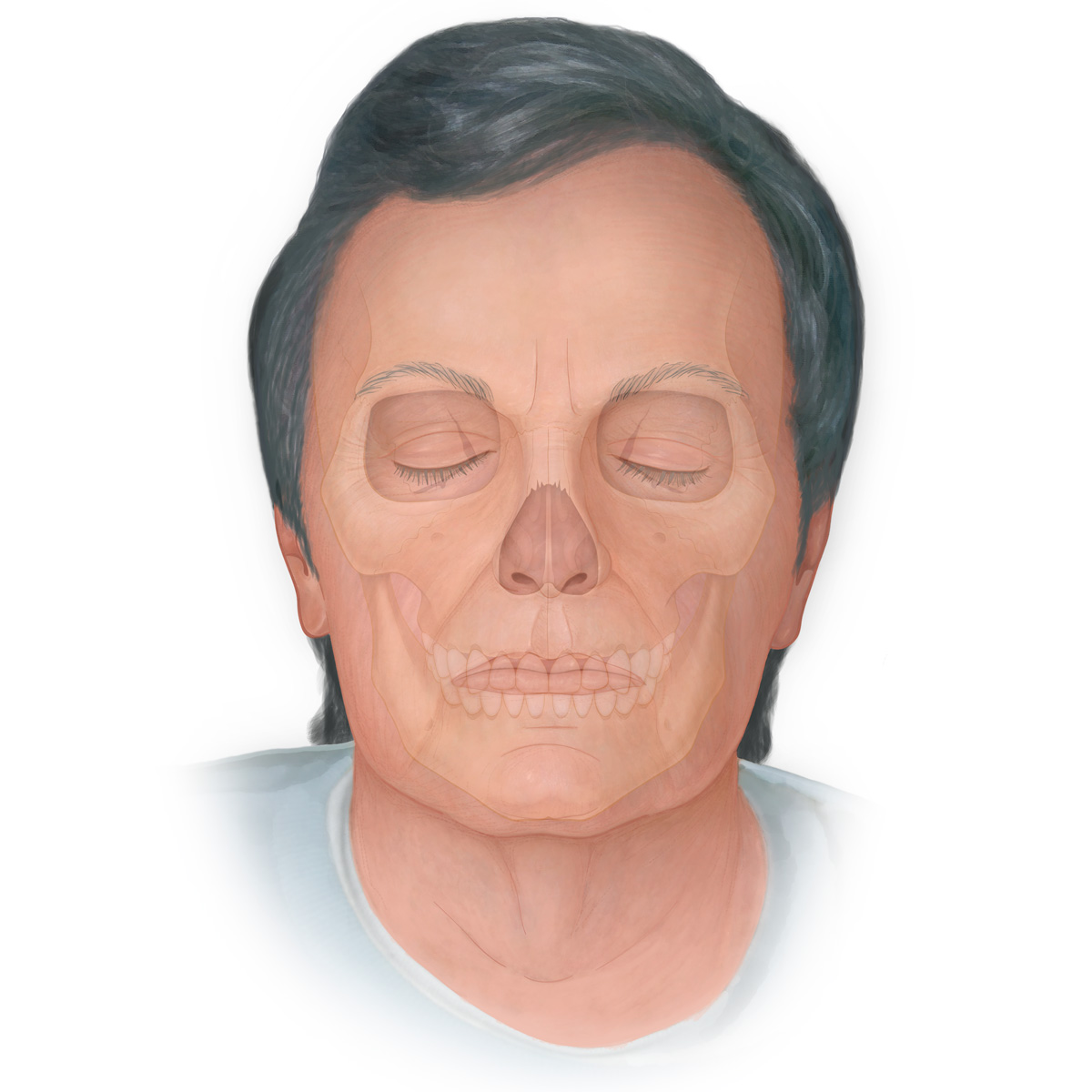 Skull within Face