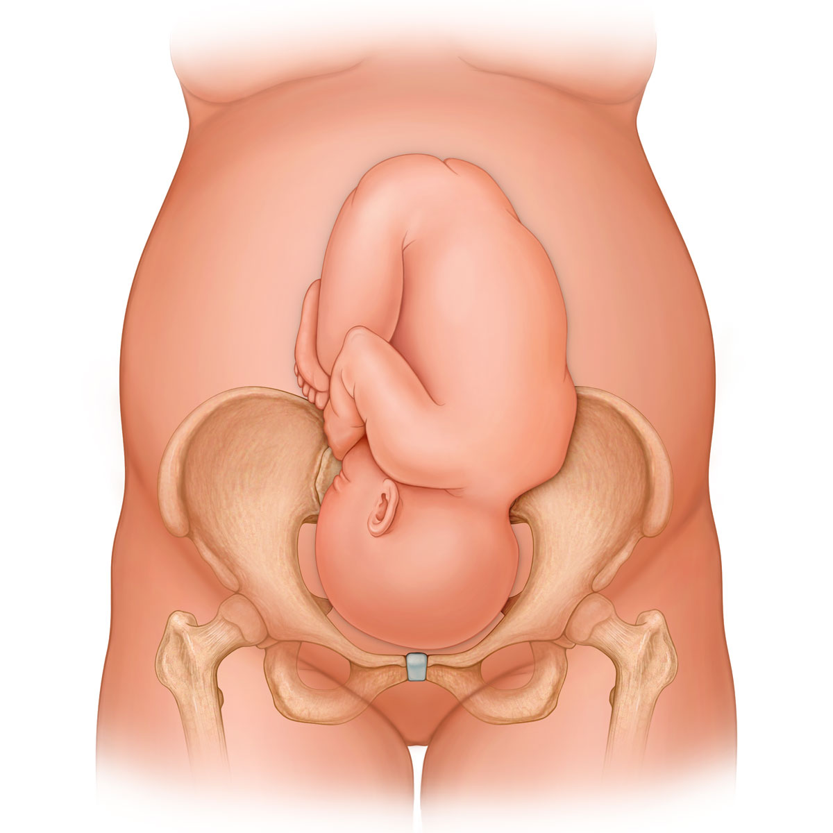 Left Occiput Anterior Presentation