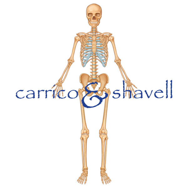 Skeleton