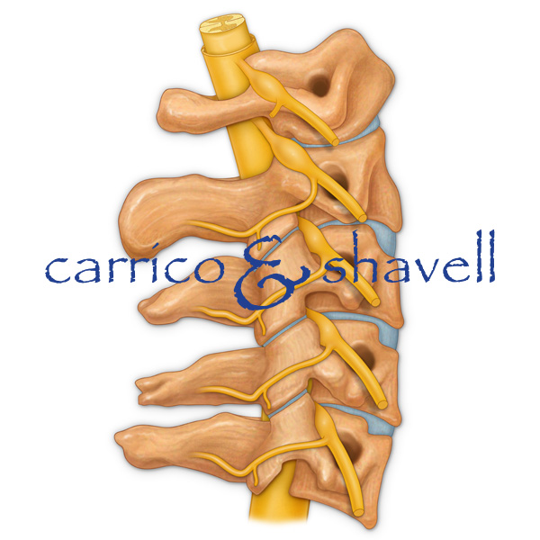 Cervical Spine