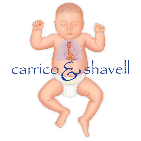 Infant Heart and Lungs